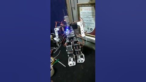 Mini Robot ( IAR Robotics)