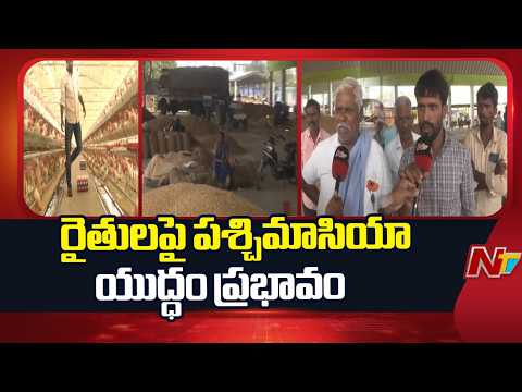 పశ్చిమాసియా యుద్ధం.. వేరుశెనగ, మొక్కజొన్న ధరలు డౌన్ | Mahabubnagar | Special Report | NTV Telugu - NTVTELUGU