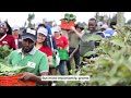 Agricultural Recovery Hub Cohort - Kenya