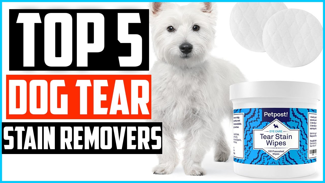 Top 5 Best Dog Tear Stain Removers Review in 2021 - YouTube