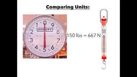 Using a Spring Scale