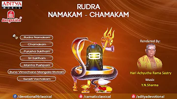 Rudra Namakam Chamakam by Y N  Sharma   YouTube