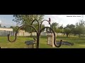 Why have Bird Feeders in garden?