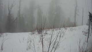 RadioRidge 3 2020-01-21