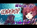 性なる夜に発情してしまうマリン船長とその一味【宝鐘マリン/ホロライブ 切り抜き】