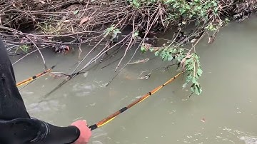 Đánh bắt cá lăng , cá lóc kích cá Đồng Nai (0328037578)