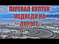 ПЕРЕВАЛ КУЛТУК | МЕДВЕДЬ ЗА 65ТЫСЯЧ РУБЛЕЙ