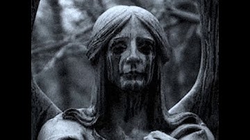 BONES - AirplaneMode (Music Video)