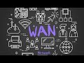 WAN