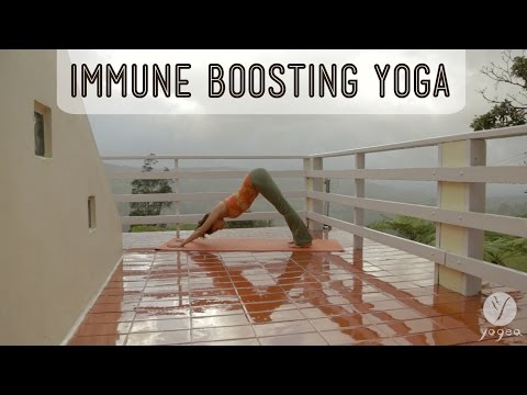 Yoga Immunity Boosting Routine: Flu-proof (open level)