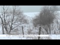 Bochov: Ledovka zdecimovala **ve vysaze**u