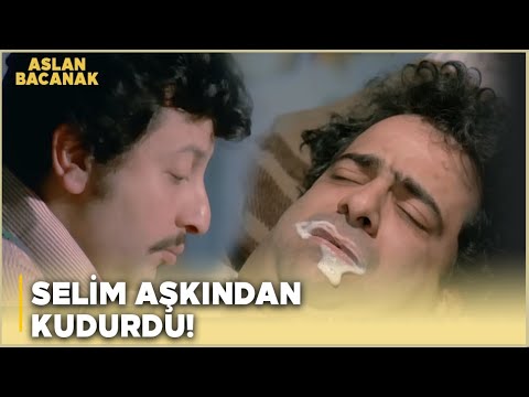 Aslan Bacanak Türk Filmi | Selim Aşkından Kuduruyor!