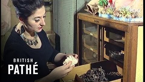 Tropical Shell Shapers (1966)