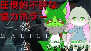 【Vtuber】ぬめゲコらいふ 圧倒的不評な協力型ホラー…？〔怨念 -MALICE-〕