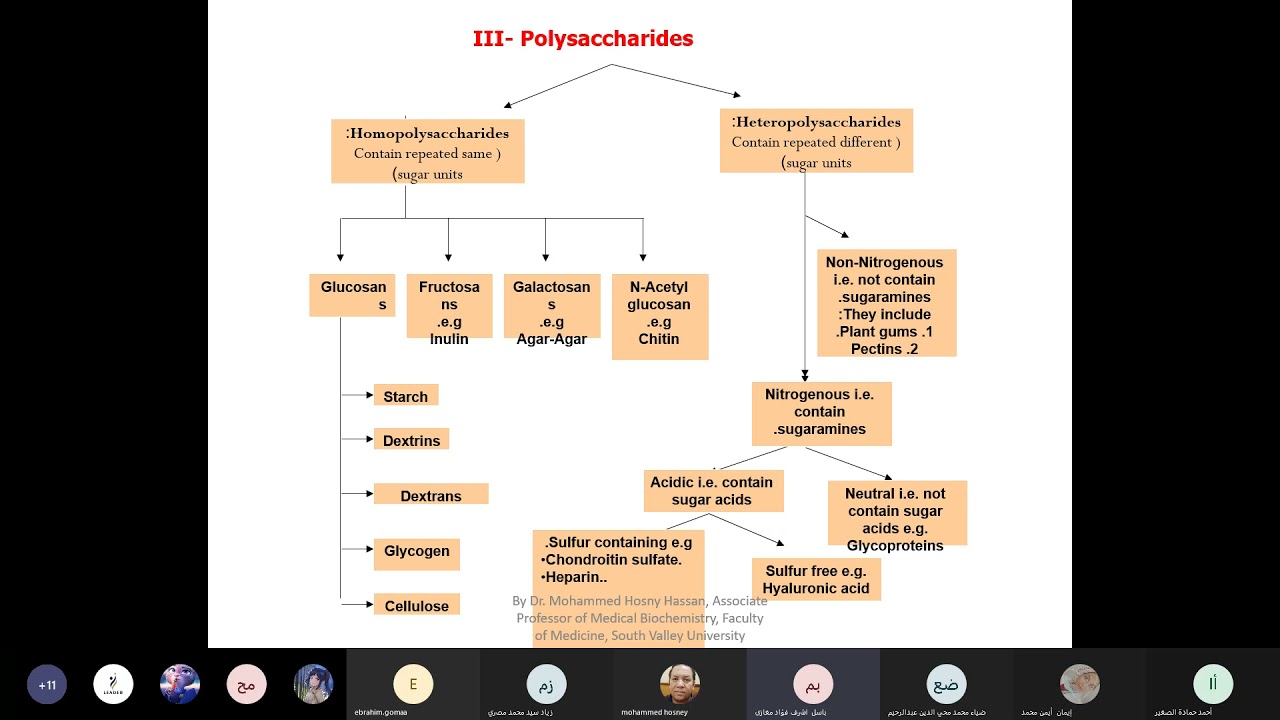 Polysaccharides chemistry