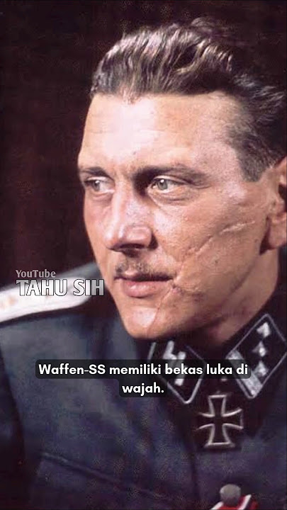 Source of Scars on German Nazi Officer's Face #shorts