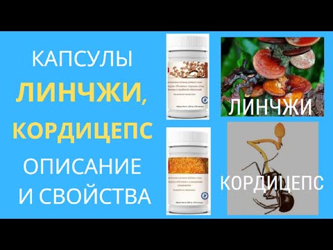 КАПСУЛЫ ЛИНЧЖИ И КОРДИЦЕПС / НОВАЯ ЭРА / СВОЙСТВА, РЕКОМЕНДАЦИИ