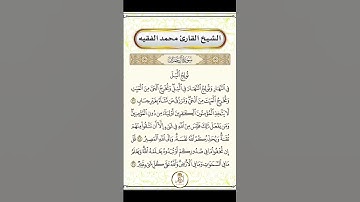 أجمل التلاوات للقاريء محمد الفقيه #ارح_قلبك #تلاوة_مميزة #ارح_سمعك #اكسبلور