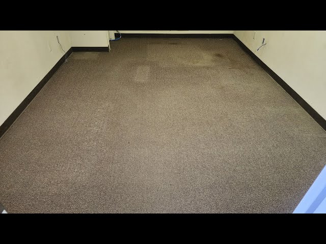 Chewing Tabacco spit out on Carpet 😳