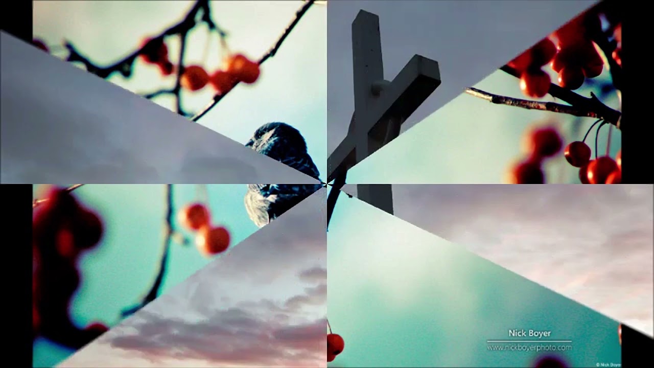 Ünnepi összeállítás a költészet napjára - megzenésített versek