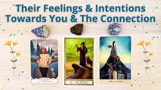 THEIR TRUE FEELINGS & INTENTIONS FOR YOU PICK A CARD LOVE TAROT READING TIMELESS