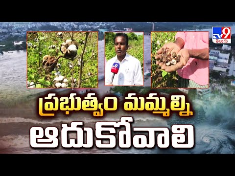 Montha Toofan Effect On Telangana | ప్రభుత్వం మమ్మల్ని ఆదుకోవాలి: Farmers | Khammam- TV9 - TV9