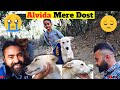 Moti nahi raha dosto   bearded ladka vlogs 