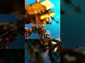 Transformers edit #shorts