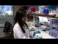 Making a Hydrogel for Heart Attack Therapy