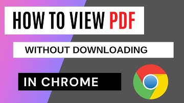 How To View PDF Without Downloading in Chrome