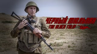 Soviet Afghan War Song | Чёрный Тюльпан | The Black Tulip [English lyrics]