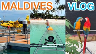 VLOG 26 – МАЛЬДИВЫ часть 2 – обзор отелей Sun Siyam Iru Fushi, Siyam World, Sun Siyam Olhuveli