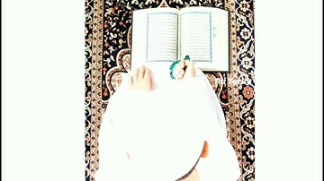 إبداع الشيخ محمود أبو حبل تلاوه خاشعه من سوره الزمر