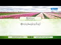 سورة نوح بصوت القارئ الشيخ صلاح الهاشم سورة نوح بصوت القارئ الشيخ صلاح الهاشم