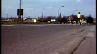 De Nacht van Super8 Curieus W Vl  5 AUTOLOZE ZONDAG  Webcasting TVLokaal
