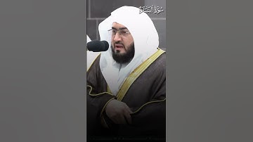 ما تيسر من سورة البقرة | تلاوة فضيلة الشيخ د.#بندر_بليلة