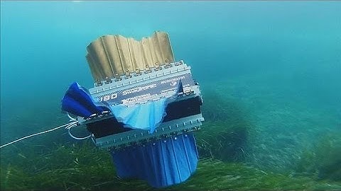 Robot cuttlefish ready for underwater action
