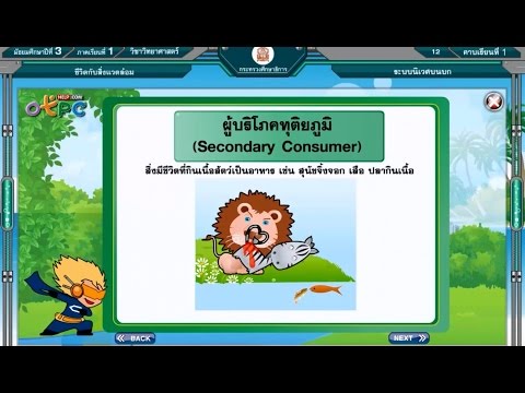 ระบบนิเวศบนบก - สื่อการเรียนการสอน วิทยาศาสตร์ ม.3