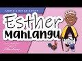 South african artist esther mahlangu by lillian gray