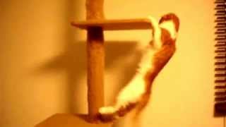 としてずかしいタワーからのり