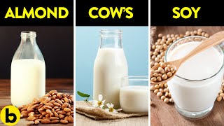 Which Of These 7 Types Of Milk Are Best For You?