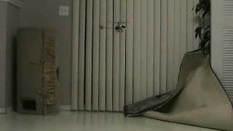 Walkera 4#3 Hover test