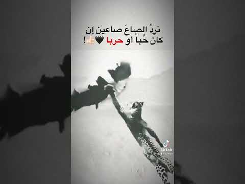 نرد الصاع صاعين إن كان حبا او حربا