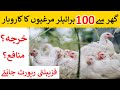 Broiler Hen Farming at Home| Poultry Farming Business Plan|Business Ideas At Home|Feasibility Report
