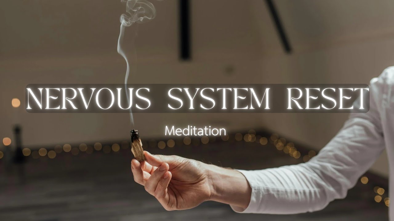 A Short Nervous System Reset | Guided Meditation for Recalibration ...