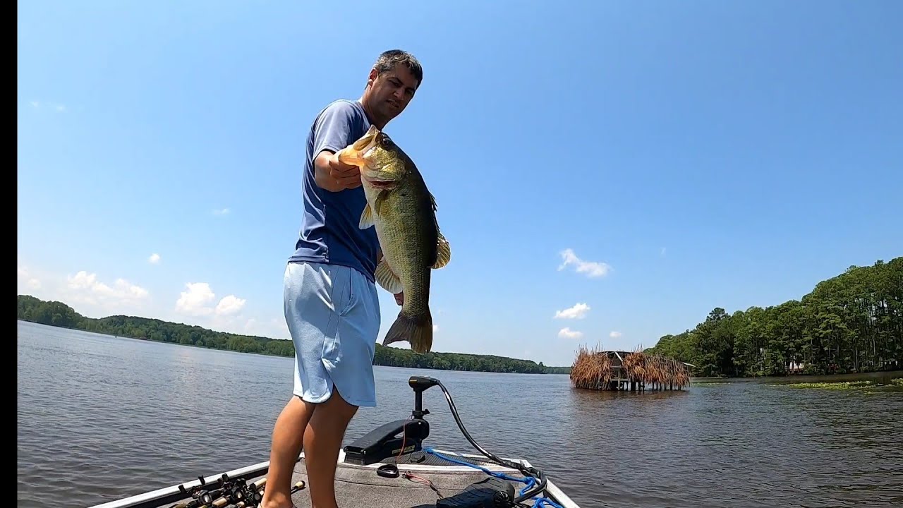 Big Numbers Day on Chickahominy River...Hot Weather Fishing YouTube
