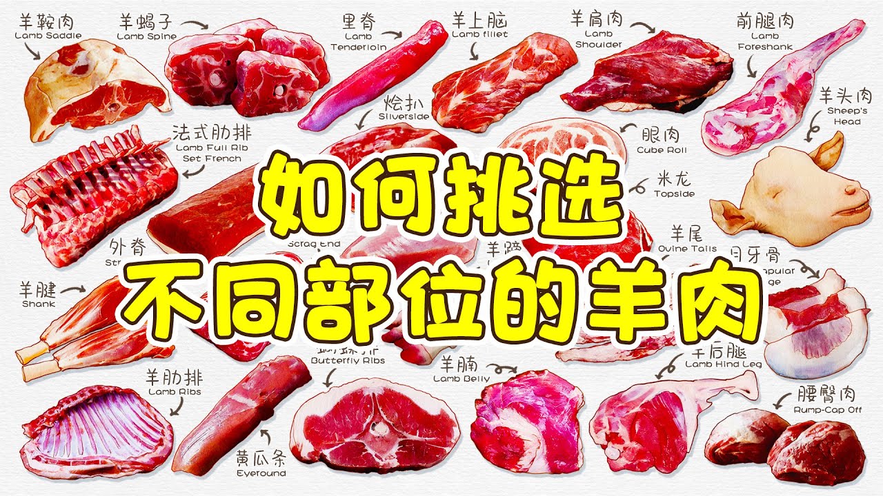 一条视频让你成为懂羊人！教你认识不同部位的羊肉和吃法，最全的羊肉分来，以后挑选羊肉不吃亏！ - YouTube
