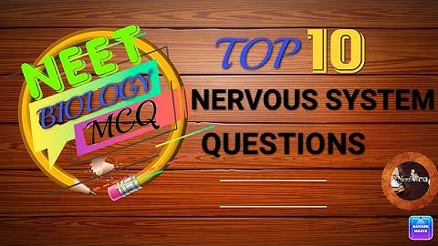 Neural Control And Coordination Questions For Practice|NEET MCQ|