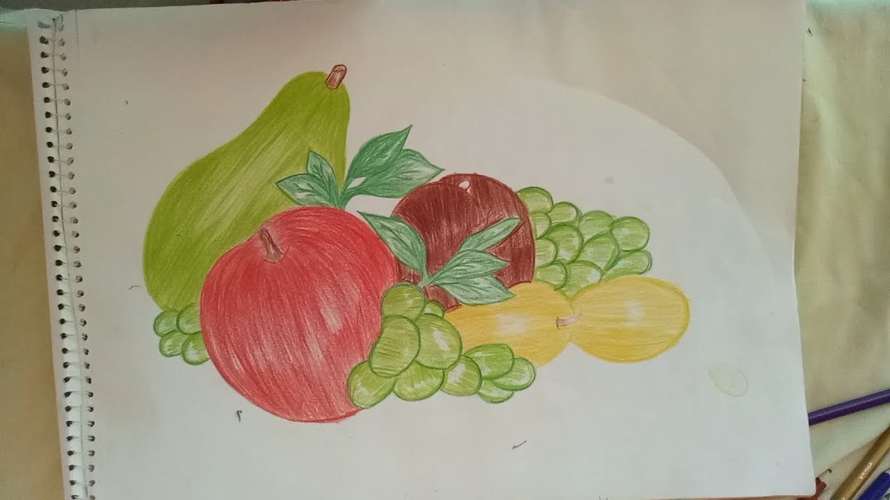 how to draw fruits with colored pencils (easy shading)!!! YouTube