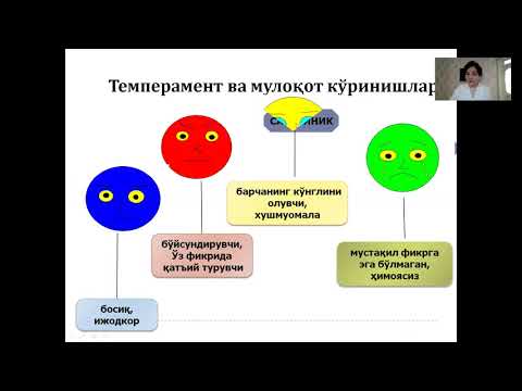 Video: Psixologiyada Shaxs Turlari